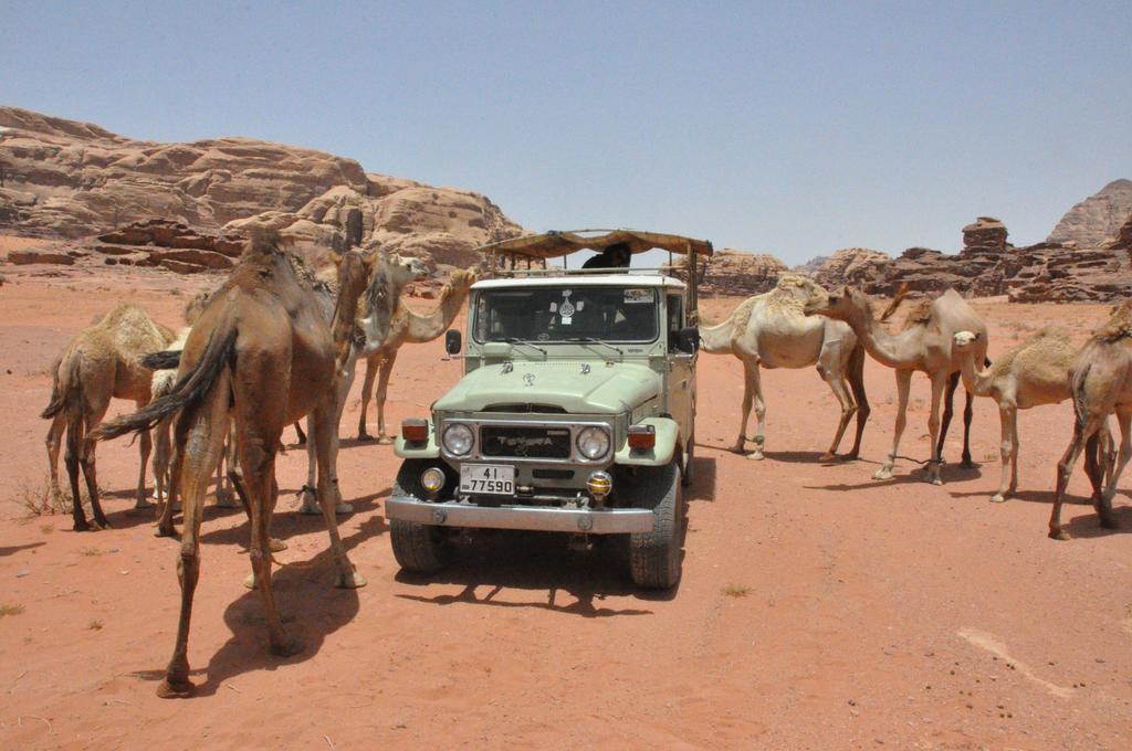 Campsite Khaled's Camp Wadi Rum